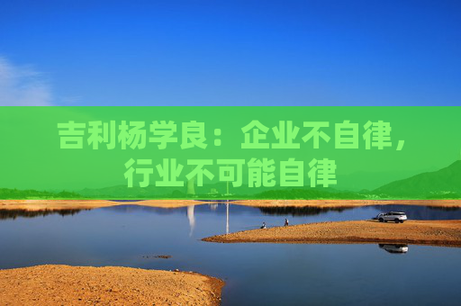 吉利杨学良：企业不自律，行业不可能自律