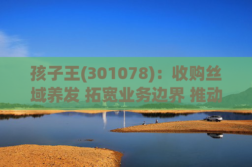 孩子王(301078)：收购丝域养发 拓宽业务边界 推动产业协同发展