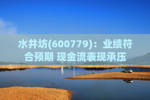 水井坊(600779)：业绩符合预期 现金流表现承压