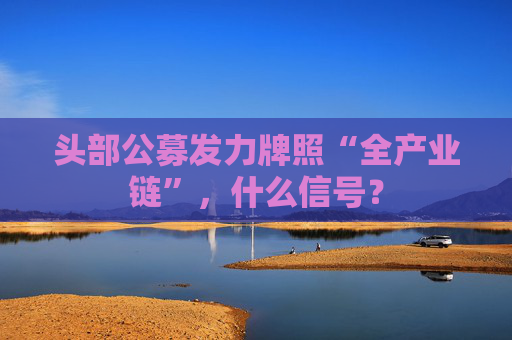 头部公募发力牌照“全产业链”，什么信号？