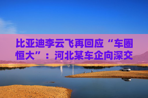 比亚迪李云飞再回应“车圈恒大”：河北某车企向深交所、港交所及监管机构恶意举报比亚迪