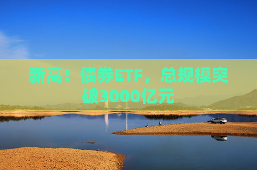 新高！债券ETF，总规模突破3000亿元