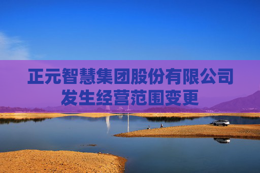 正元智慧集团股份有限公司发生经营范围变更