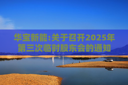 华宝新能:关于召开2025年第三次临时股东会的通知