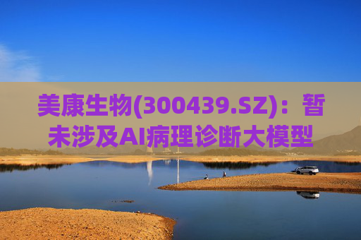 美康生物(300439.SZ)：暂未涉及AI病理诊断大模型