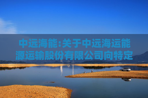 中远海能:关于中远海运能源运输股份有限公司向特定对象发行股票申请文件的审核问询函之回复报告