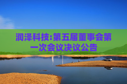 润泽科技:第五届董事会第一次会议决议公告