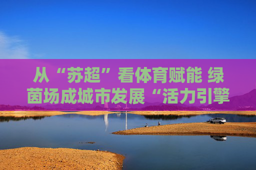 从“苏超”看体育赋能 绿茵场成城市发展“活力引擎”