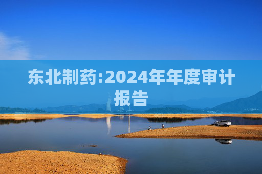 东北制药:2024年年度审计报告