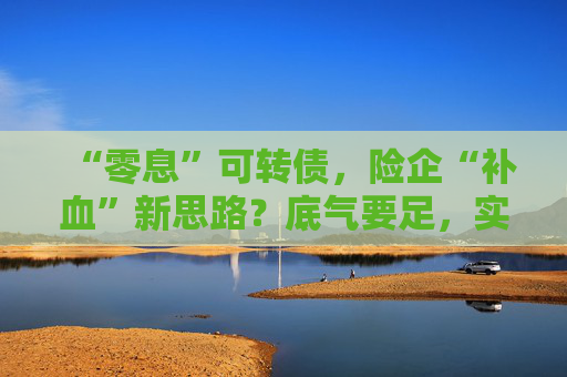 “零息”可转债，险企“补血”新思路？底气要足，实力要硬！