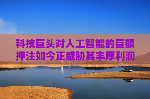 科技巨头对人工智能的巨额押注如今正威胁其丰厚利润