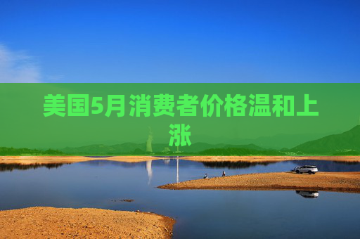 美国5月消费者价格温和上涨