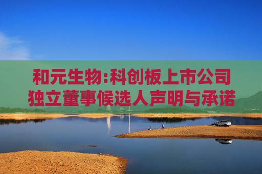 和元生物:科创板上市公司独立董事候选人声明与承诺-吴丹枫