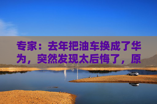 专家：去年把油车换成了华为，突然发现太后悔了，原因是……