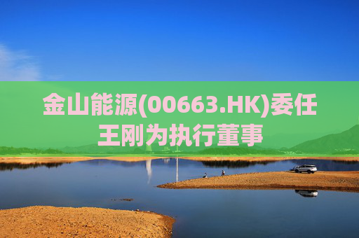 金山能源(00663.HK)委任王刚为执行董事