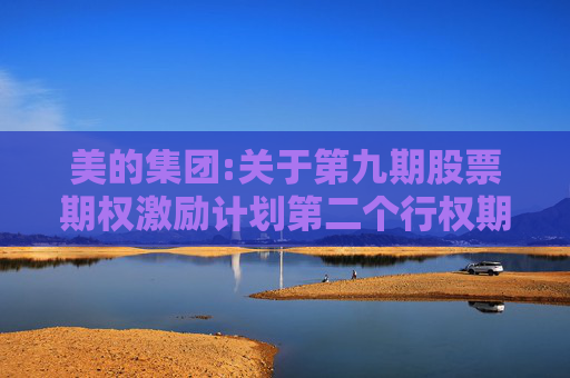 美的集团:关于第九期股票期权激励计划第二个行权期行权相关事项公告