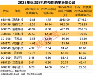 涉及存储+AI应用+抖音豆包热门概念，业绩超机构预期的半导体公司出炉