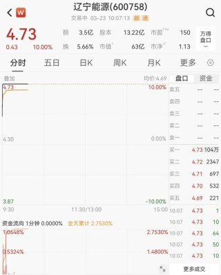 逆市拉升！600758，一分钟涨停！104万手封板