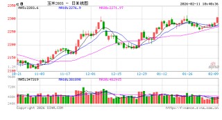 中信建投期货：2月11日农产品早报