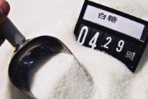 如何理解白糖期权的定价模型？该模型受哪些因素影响？