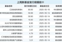 债基单周吸金超192亿元 成基金新发市场“压舱石”