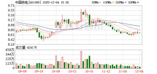 中国核电：公司将坚持核能主业