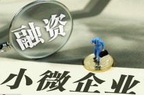 如何分析企业性质？东方国信算什么企业？