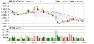寒武纪首次实现全年利润扭亏为盈 拟派发现金红利6.32亿元