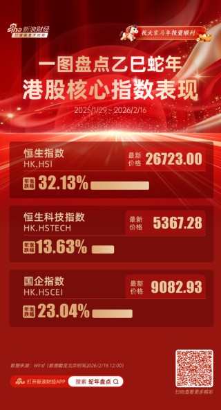 一图看懂：蛇年港股收官！恒生指数累涨32%