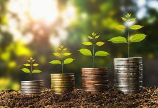 如何认识金融市场现象并分析其原因？这种现象背后有什么潜在逻辑？
