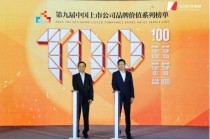 致敬第九个中国品牌日 2025中国上市公司品牌价值榜揭晓
