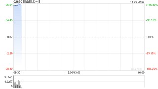 旺山旺水-B港股首日暴涨近185%，一手账面盈利超1.2万港元