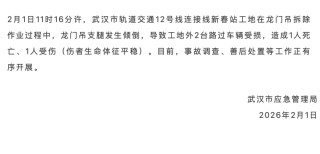 武汉一龙门吊倒塌砸中汽车，官方通报