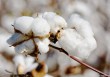 如何去除隔音棉？怎样选择安全有效的隔音棉去除方法？