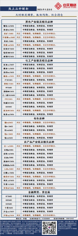 中天策略:1月8日市场分析