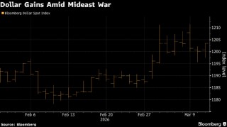 在“弹跳式”震荡市场中 宏利投资组合经理称美元是最佳选择