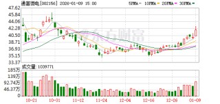通富微电：2026年1月26日召开2026年第一次临时股东会