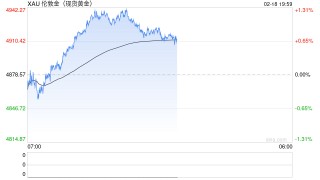 世界黄金协会美洲区CEO解读2026年金价新逻辑：地缘风险成首要因素，全球央行连续16年净买入