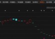 突发！600200，董事长被证监会立案！