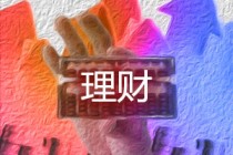 如何把握特定词语的意思？这些词语在泛财经领域有什么用途？