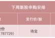 半导体龙头来了！中签率可能较高