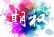 如何理解TF期权的投资特性与风险？这种理解对投资决策有何帮助？