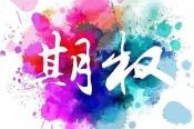 如何理解TF期权的投资特性与风险？这种理解对投资决策有何帮助？