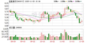 宝胜股份：董事会延期换届