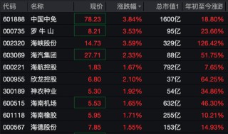 301181，突发跌停