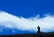 如何明确特定经济用语在投资策略中的地位？这些地位对市场判断有何影响？
