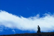 如何明确特定经济用语在投资策略中的地位？这些地位对市场判断有何影响？