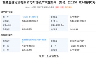 西藏金租申请破产，快速扩张与资金困局引发危机