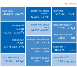 中国太保2024年度业绩出炉：实现营业收入4040.89亿元 同比增长24.7%