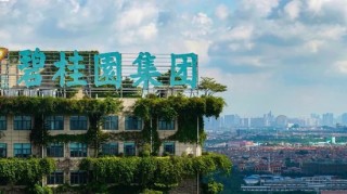 碧桂园债务重组重大突破